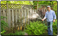 Local Business SEO Tustin for Carpet Cleaning Services